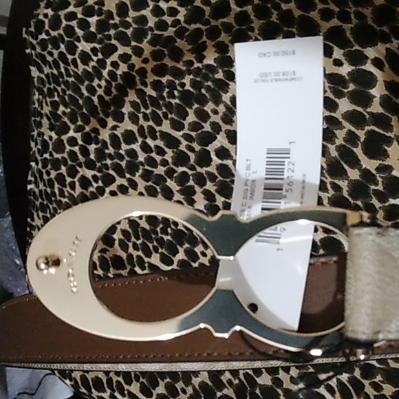 COPY - Coach belt - Picture 6 of 7